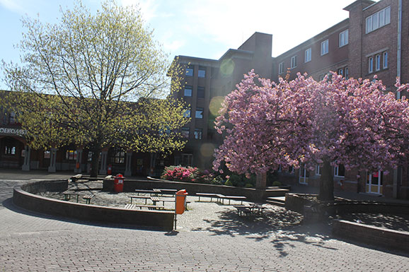 Campus